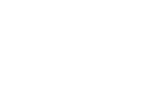 Fundacja - PoradniaLidera logo final wersje4 1